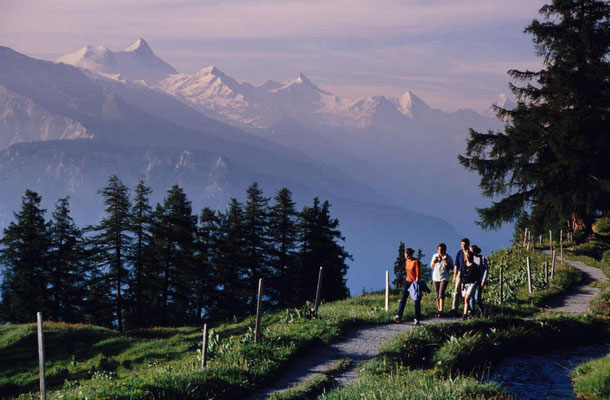 Wanderreise mit Gepäcktransport vom Berner Oberland ins Wallis: rund um den Wildstrubel