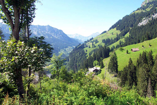 Wanderreise mit Gepäcktransport im Welterbe Jungfrau-Aletsch: Kiental