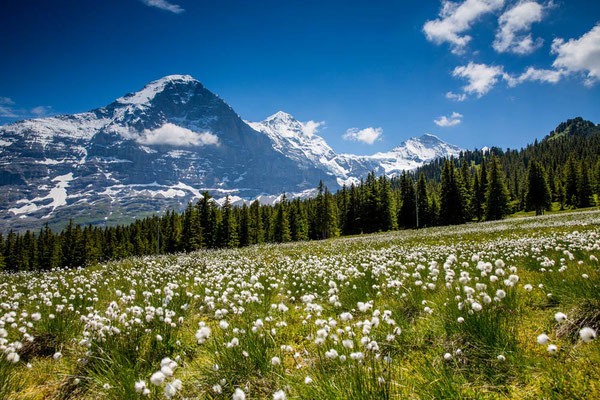 Gravel Bike Tour Eiger Loop mit Gepäcktransport: der Eiger