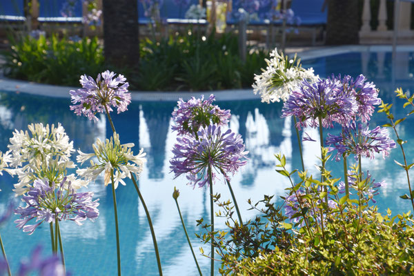 Luxus Hotel Mallorca