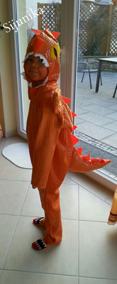 Faschingskostüm Drache Kokusnuss nach den Vorstellungen meines Sohnes