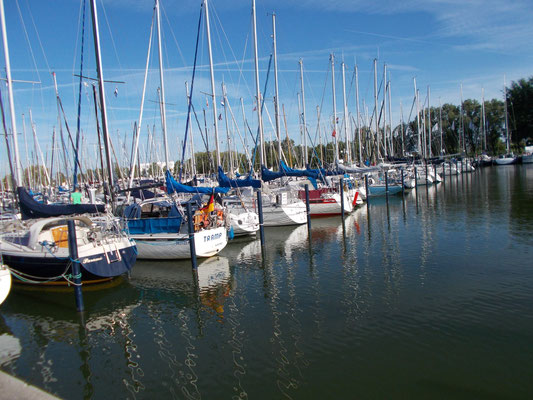 Marina Makkum