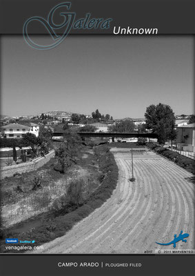 Campo arado (2011 Galera, Granada)