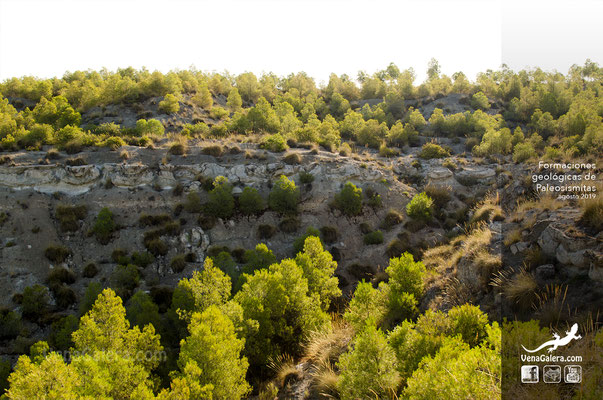 formación geologica paleosismitas en galera