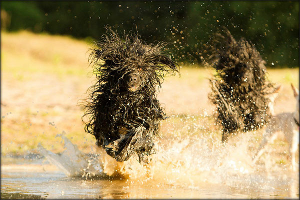 Photo: Pia Bohn Photography