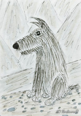 Wolf, 24.01.2020 - 9 cm x 6,4 cm