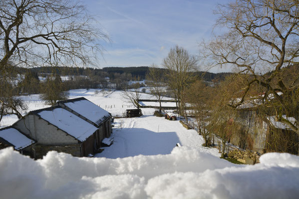 Altitude 445 - La Chouette s'amuse - Matin d'hiver