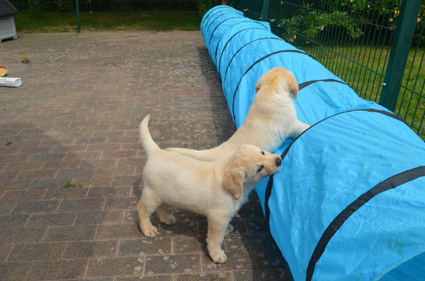 ....ein Tunnel hat viele "interessante" Spielmöglichkeiten :-) .........noch hält er ! :-)
