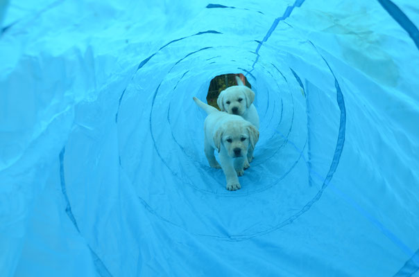 ...so ein Tunnel - ja super