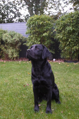 Monty