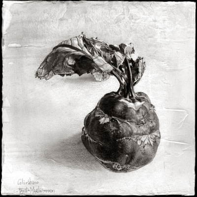 "Colirrábano". Grafito sobre tabla / Graphite on board. 2021. 20 x 20 cm.