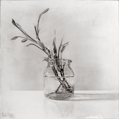 "Frasco con planta nº5 / Glass jar with plant #5". Grafito sobre tabla / Graphite on board. 2020. 40 x 40cm.  Colección particular.