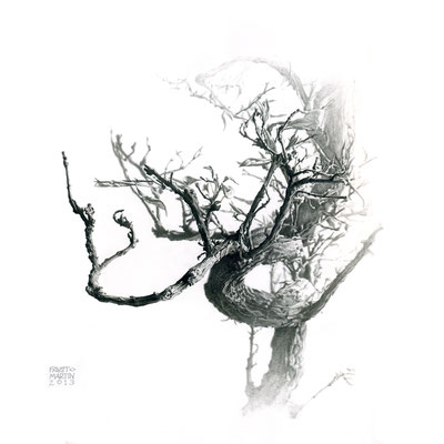 "Bonsái seco / Withered bonsai" Grafito sobre papel / Graphite on paper. 2013. 31x31cm. Colección particular.