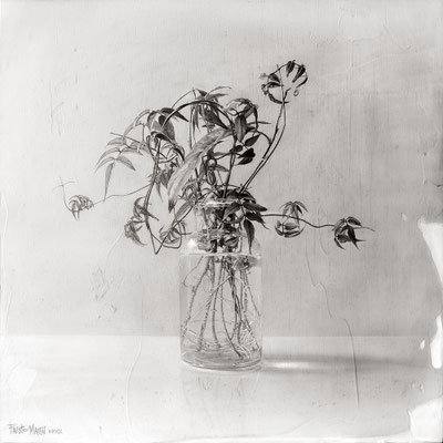 "Frasco con planta nº1 / Glass jar with plant #1". Grafito sobre tabla / Graphite on board. 2019. 40 x 40cm. Colección particular.