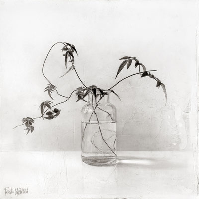 "Frasco con planta nº4 / Glass jar with plant #4". Grafito sobre tabla / Graphite on board. 2020. 40 x 40cm.  Colección particular.