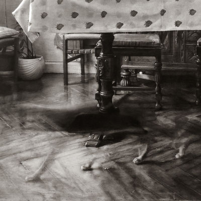 "La sobremesa. Retrato de mi madre". (Fragmento / Detail). Grafito sobre tabla / Graphite on board. 2017. 114 x 146 cm. Colección del MEAM (Museo Europeo de Arte Moderno).