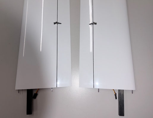 Lange Aeussere Tragflächen, Servo mit Halterung und LDS-Pro Anlenkung "Montiert"