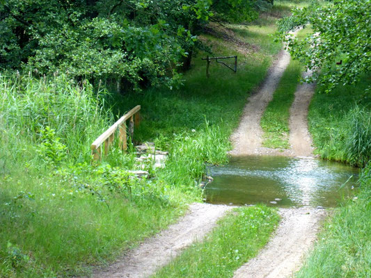 Einsamer Wanderweg.