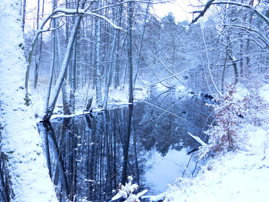 Schulzenfließ Winter 2024