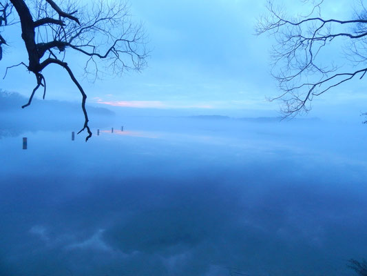 Röddelinsee im Winternebel.