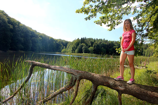 Besuch  im Unesco Weltnaturerbe Buchenwald Grumsin.