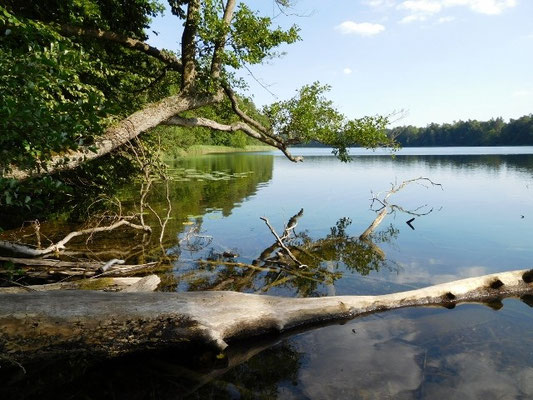 Platkowsee bei Alt Placht (Foto: Ralf Ihlenburg).