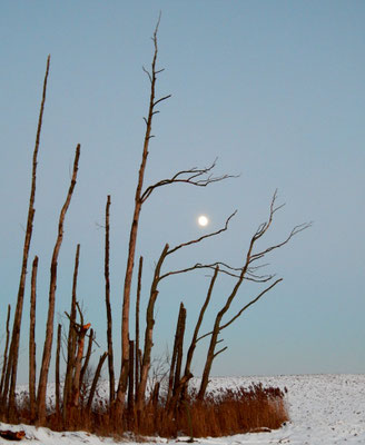 Winter in der Uckermark.