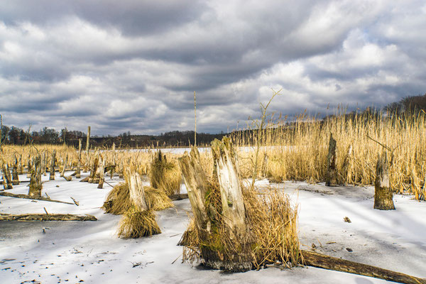Winterlandschaft Uckermark (Foto: Heidrun Lorenz).