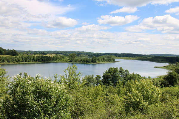 Auf dem ,,Spitzberg" (Foto: Gunnar Heussen).