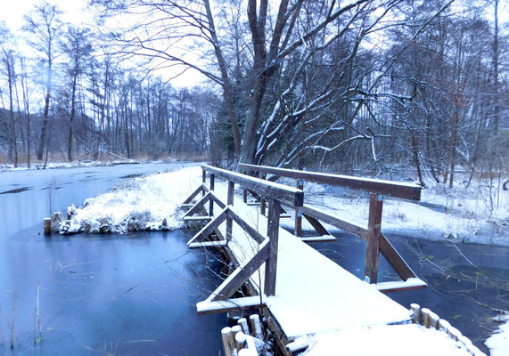 Templiner Kanal Winter 2024