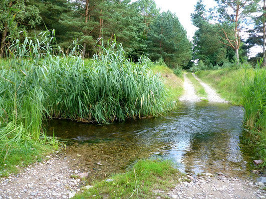 Furt im NSG ,,Kleine Schorfheide".