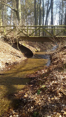 Idyll entlang des Märkischen Landweges.