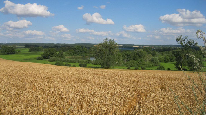 Landschaft Uckermark.