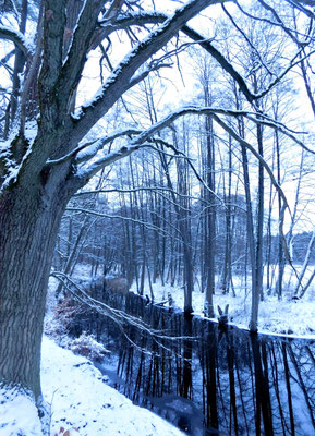 Schulzenfließ Winter 2024