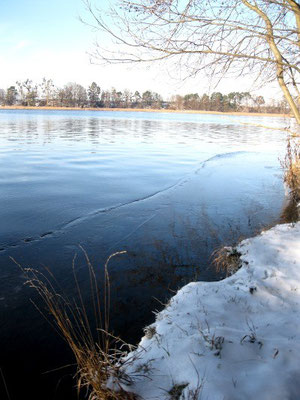 Röddelinsee im Winter.