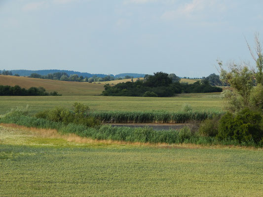 Moränenlandschaft Uckermark.