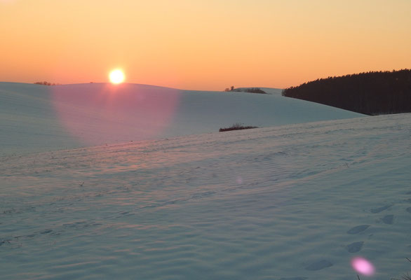 Winter in der Uckermark.