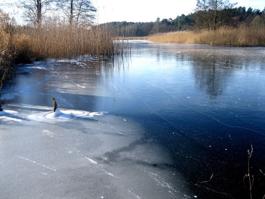 Zugefrorener Templiner Kanal Winter 2014.