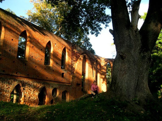 Mittelalterliche Klosterruine Boitzenburg.