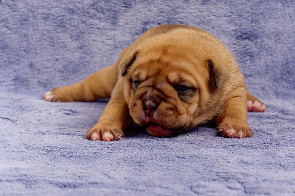 Tina - mit zwei Wochen