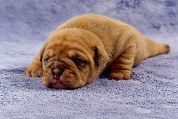 Tina - mit zwei Wochen