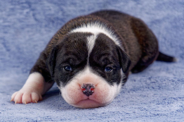 Uta - zwei Wochen alt