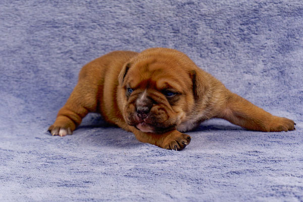 Toni - mit zwei Wochen