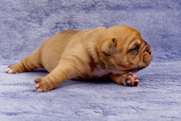 Tina - mit zwei Wochen