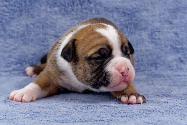 Urano - zwei Wochen alt