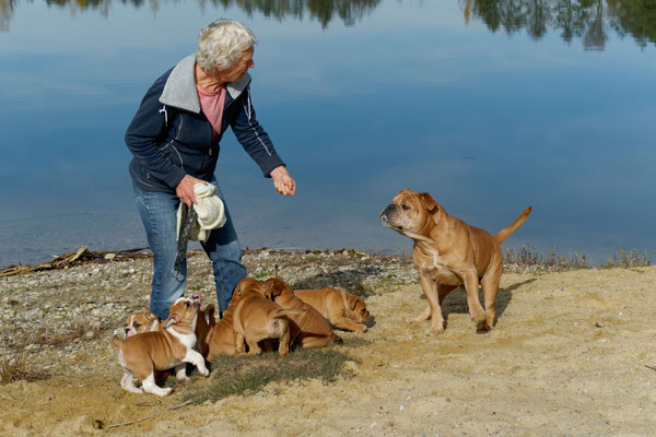 T Wurf mit Opa Freddy - acht Wochen alt