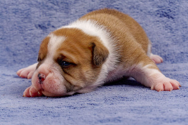 Timo - mit zwei Wochen