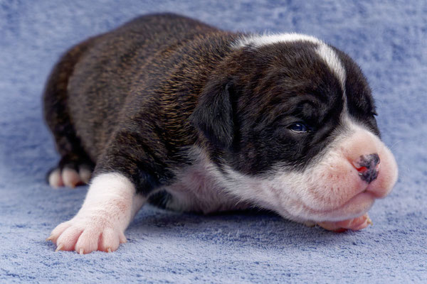 Uta - zwei Wochen alt