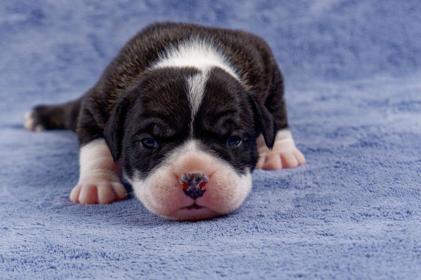 Uta - zwei Wochen alt