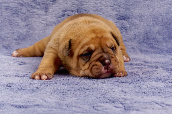 Tina - mit zwei Wochen